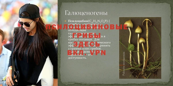 ALPHA PVP Бородино
